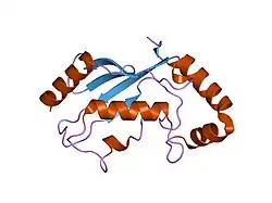 1wzw: Crystal Structure of UbcH8
