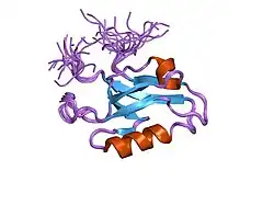 1x45: Solution structure of the first PDZ domain of amyloid beta A4 precursor protein-binding family A, member 1