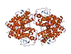 1xdk: Crystal Structure of the RARbeta/RXRalpha Ligand Binding Domain Heterodimer in Complex with 9-cis Retinoic Acid and a Fragment of the TRAP220 Coactivator