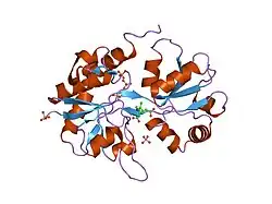 1xhy: X-ray structure of the Y702F mutant of the GluR2 ligand-binding core (S1S2J) in complex with kainate at 1.85 A resolution