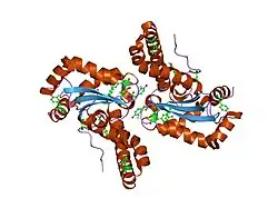 1xil: HYDROGEN BONDING IN HUMAN MANGANESE SUPEROXIDE DISMUTASE CONTAINING 3-FLUOROTYROSINE