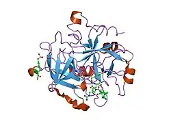 1xm1: Nonbasic Thrombin Inhibitor Complex