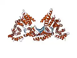 1xqs: Crystal structure of the HspBP1 core domain complexed with the fragment of Hsp70 ATPase domain