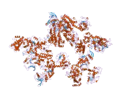 1y0v: Crystal structure of anthrax edema factor (EF) in complex with calmodulin and pyrophosphate