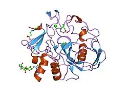 1y1j: human formylglycine generating enzyme, sulfonic acid/desulfurated form