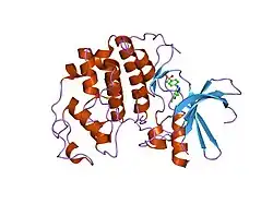 1y8y: Crystal structure of human CDK2 complexed with a pyrazolo[1,5-a]pyrimidine inhibitor