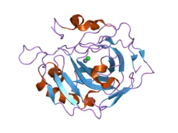 1yo0: Proton Transfer from His200 in Human Carbonic Anhydrase II