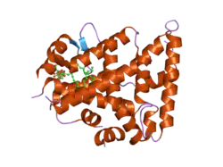 1zdu: The Crystal Structure of Human Liver Receptor Homologue-1