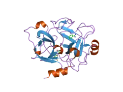 1zhm: Crystal Structure of the Catalytic Domain of the Coagulation Factor XIa in Complex with Benzamidine (S434A-T475A-K437 Mutant)