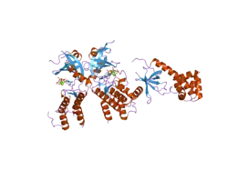 2a19: PKR kinase domain- eIF2alpha- AMP-PNP complex.