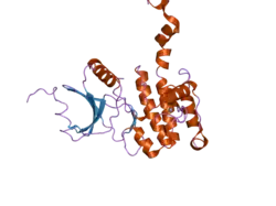 2ac3: Structure of human Mnk2 Kinase Domain