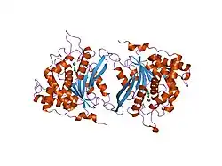 2afw: Crystal structure of human glutaminyl cyclase in complex with N-acetylhistamine