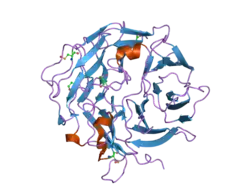 2aq5: Crystal Structure of Murine Coronin-1