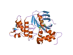 2bbo: Human NBD1 with Phe508