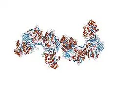 2bgn: HIV-1 TAT PROTEIN DERIVED N-TERMINAL NONAPEPTIDE TRP2-TAT (1-9) BOUND TO THE ACTIVE SITE OF DIPEPTIDYL PEPTIDASE IV (CD26)