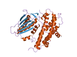 2btz: CRYSTAL STRUCTURES OF HUMAN PYRUVATE DEHYDROGENASE KINASE 2 CONTAINING PHYSIOLOGICAL AND SYNTHETIC LIGANDS