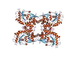 2ch5: CRYSTAL STRUCTURE OF HUMAN N-ACETYLGLUCOSAMINE KINASE IN COMPLEX WITH N-ACETYLGLUCOSAMINE