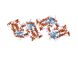 2cke: HUMAN DEATH-ASSOCIATED DRP-1 KINASE IN COMPLEX WITH INHIBITOR