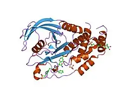 2cne: STRUCTURAL INSIGHTS INTO THE DESIGN OF NONPEPTIDIC ISOTHIAZOLIDINONE-CONTAINING INHIBITORS OF PROTEIN TYROSINE PHOSPHATASE 1B