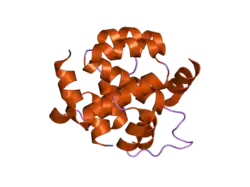 2d68: Structure of the N-terminal domain of FOP (FGFR1OP) protein