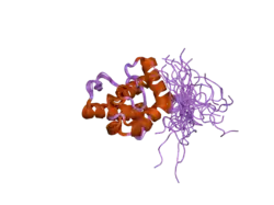2d85: Solution structure of the fourth CH domain from human L-plastin