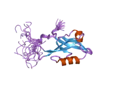 2d92: Solution structure of the fifth PDZ domain of InaD-like protein