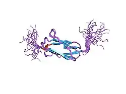 2di8: Solution structure of the 19th filamin domain from human Filamin-B