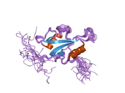 2dm0: Solution structure of the SH2 domain of human Tyrosine-protein kinase TXK