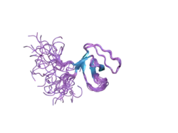2dm1: Solution structure of the second SH3 domain of human protein vav-2