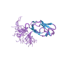 2dnc: Solution Structure of RSGI RUH-054, a lipoyl domain from human 2-oxoacid dehydrogenase