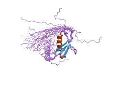 2dzk: Structure of the UBX domain in Mouse UBX Domain-Containing Protein 2