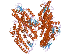 2e9x: The crystal structure of human GINS core complex
