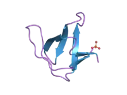 2f2x: alpha-spectrin SH3 domain R21G mutant