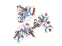 2fh4: C-terminal half of gelsolin soaked in EGTA at pH 8