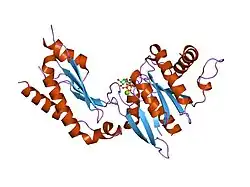 2fh5: The Structure of the Mammalian SRP Receptor