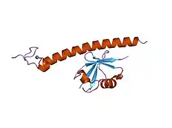 2fid: Crystal Structure of a Bovine Rabex-5 fragment complexed with ubiquitin