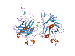 2fim: Structure of the C-terminal domain of Human Tubby-like protein 1
