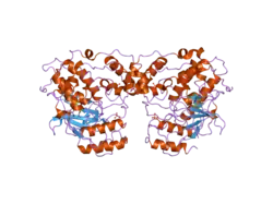 2g01: Pyrazoloquinolones as Novel, Selective JNK1 inhibitors