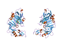 2g27: Ketopiperazine-Based Renin Inhibitors: Optimization of the ""C"" Ring