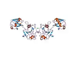 2g45: Co-crystal structure of znf ubp domain from the deubiquitinating enzyme isopeptidase T (isot) in complex with ubiquitin