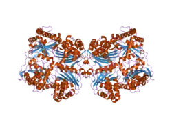 2g49: Crystal structure of human insulin-degrading enzyme in complex with glucagon