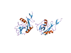2h2r: Crystal structure of the human CD23 Lectin domain, apo form