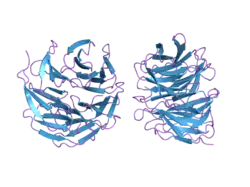 2h9m: WDR5 in complex with unmodified H3K4 peptide