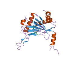 2hbt: Crystal structure of HIF prolyl hydroxylase EGLN-1 in complex with a biologically active inhibitor