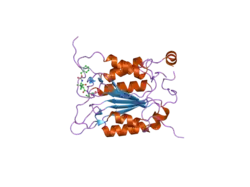 2hby: Crystal structure of human caspase-1 (Glu390->Ala) in complex with 3-[2-(2-benzyloxycarbonylamino-3-methyl-butyrylamino)-propionylamino]-4-oxo-pentanoic acid (z-VAD-FMK)