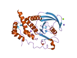 2hc2: Engineered protein tyrosine phosphatase beta catalytic domain