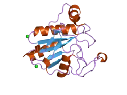 2he3: Crystal structure of the selenocysteine to cysteine mutant of human glutathionine peroxidase 2 (GPX2)