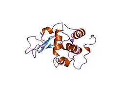 2hef: CONTRIBUTION OF WATER MOLECULES IN THE INTERIOR OF A PROTEIN TO THE CONFORMATIONAL STABILITY