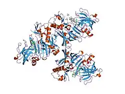2hiz: Crystal Structure of human beta-secretase (BACE) in the presence of an inhibitor
