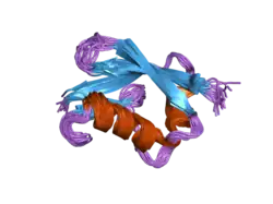 2hj8: Solution NMR structure of the C-terminal domain of the interferon alpha-inducible ISG15 protein from Homo sapiens. Northeast Structural Genomics target HR2873B